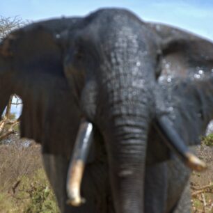 MERU NATIONAL PARK