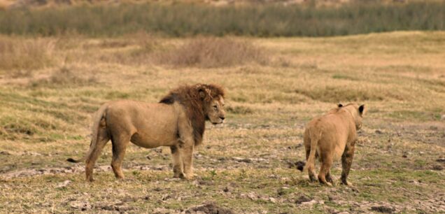 TSAVO WEST NATIONAL PARK