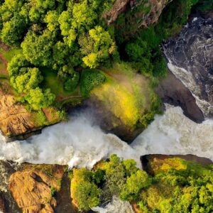 5 DAYS MURCHISON FALLS AND KIBALE NP SAFARI