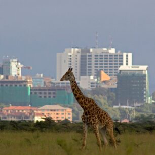 NAIROBI CITY