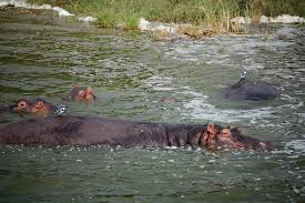 LAKE IHEMA IN RWANDA