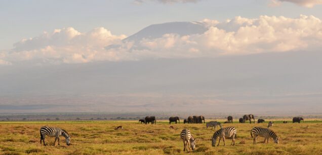 Amboseli National Park