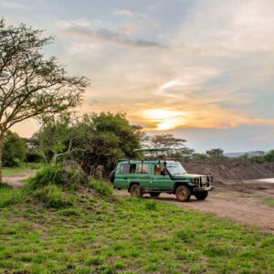 Uganda's Hidden Gems: 10-Day Off-the-Beaten-Path Safari (Luxury Getaway)