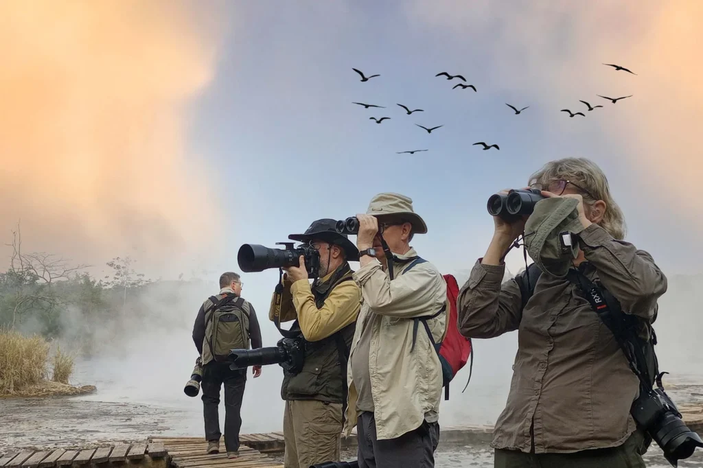 Tourists seeing birds with binoculars