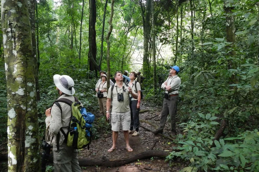 Best time to visit Uganda for Birding